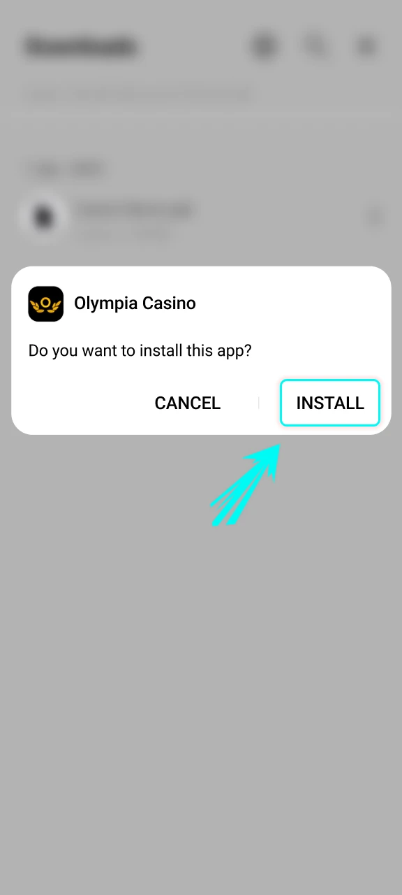 Start the installer to set up the Olympia App for Android.